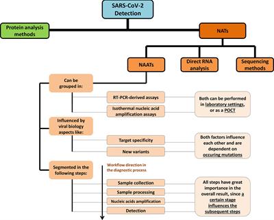 SARS-CoV-2 Diagnostics Based on Nucleic Acids Amplification: From Fundamental Concepts to Applications and Beyond